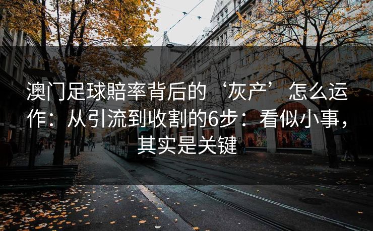 澳门足球賠率背后的‘灰产’怎么运作：从引流到收割的6步：看似小事，其实是关键